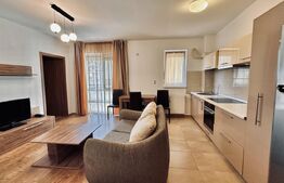 Apartament Nufarul, 2 camere, parcare privata 