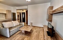 Apartament Nufarul, 2 camere, parcare privata 