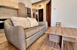 Apartament Nufarul, 2 camere, parcare privata 