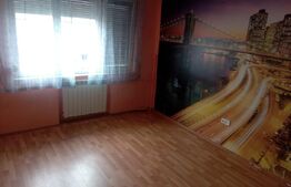 Apartament, 2 camere, Central