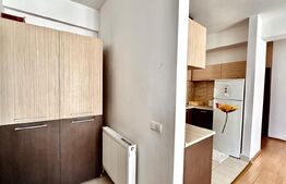 Apartament, 2 camere mobilate si utilate, Iosia