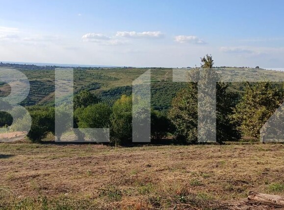 Teren de vânzare Dealuri Oradea - 156816TV | BLITZ Oradea | Poza1