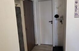 Apartament 65 mp, cartier Nufarul