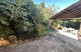 Casă, 4 Camere, Zona Cantemir - 470 mp