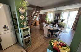 Casă, 4 Camere, Zona Cantemir - 470 mp