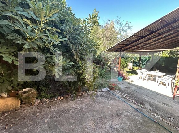 Casa de vânzare 4 camere Cantemir - 156913CV | BLITZ Oradea | Poza14