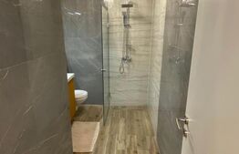 Apartament de 2 camere, zona Iosia