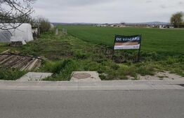  Teren 8600 mp în Podgoria