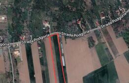  Teren 8600 mp în Podgoria