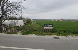  Teren 8600 mp în Podgoria