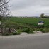 Teren de vânzare Podgoria - 157895TV - Poza 1 din 5 | BLITZ Oradea | Poza5