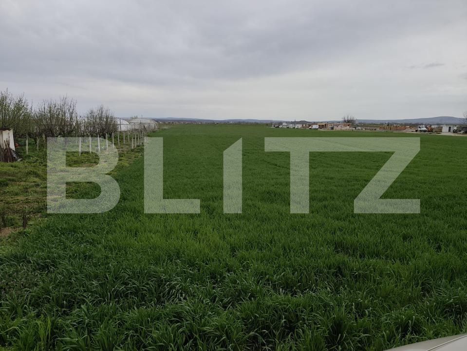 Teren de vânzare Podgoria - 157895TV | BLITZ Oradea | Poza5
