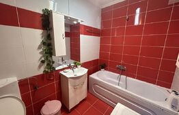 Apartament 2 camere, Prima Nufarul