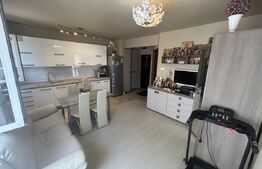 Apartament 2 camere, Prima Nufarul