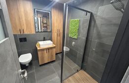 Apartament 2 Camere, zona Magheru 