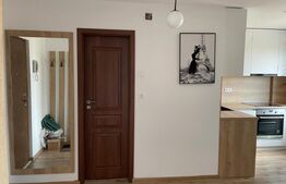 Apartament 1 camera, zona Rogerius