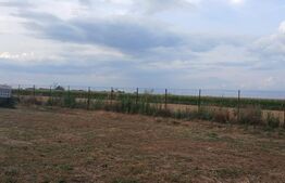 teren intravilan in Tarian, strada Mestesugarilor,perfect pentru investitie