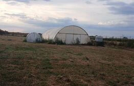 teren intravilan in Tarian, strada Mestesugarilor,perfect pentru investitie