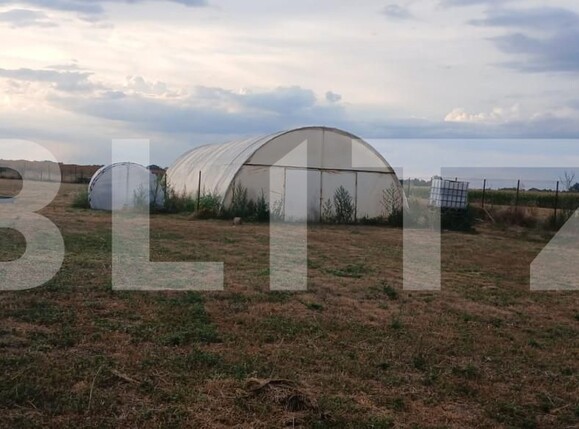 Teren de vânzare Tarian - 159219TV | BLITZ Oradea | Poza2