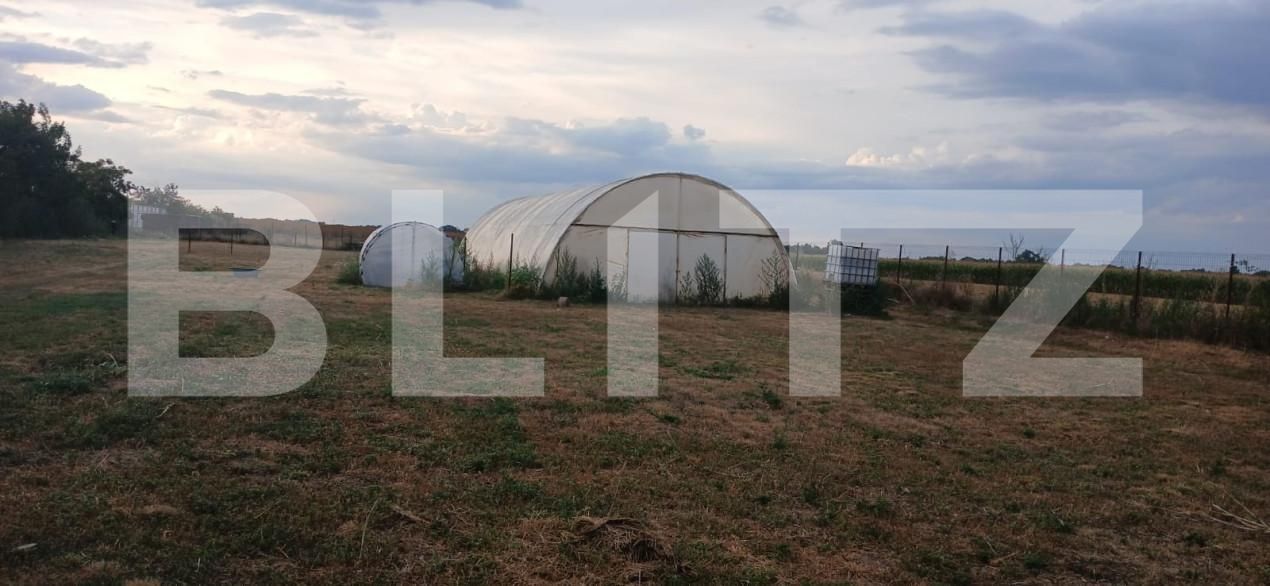 Teren de vânzare Tarian - 159219TV | BLITZ Oradea | Poza2