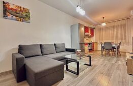 Iosia-Onestilor, 2 camere, mobilat și utilat 