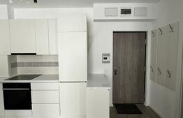 Apartament 2 camere de inchiriat  prima onestilor