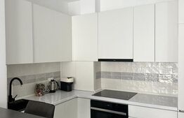 Apartament 2 camere de inchiriat  prima onestilor