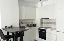 Apartament 2 camere de inchiriat  prima onestilor