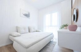 Apartament deosebit cu 3 camere, modern, Nufarul 