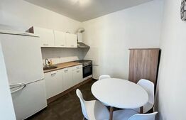 Apartament la casa, 80 mp, zona Ultracentral