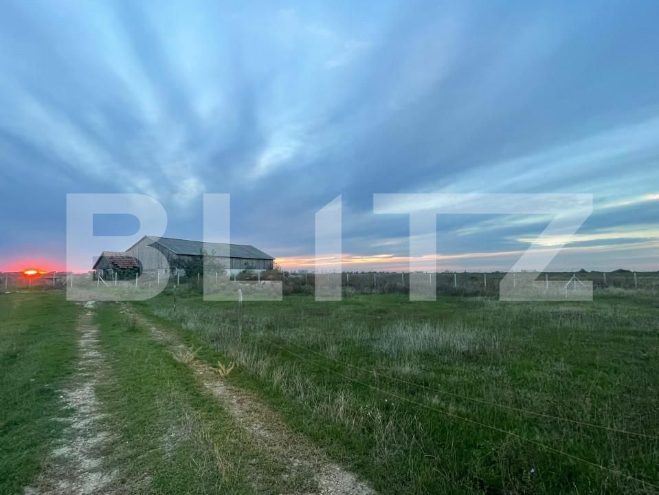 Teren de vânzare Nojorid - 159935TV | BLITZ Oradea | Poza2