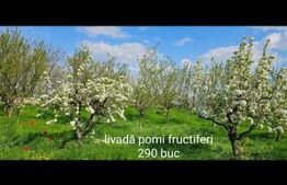 casa, teren, anexe, la 8km de Oradea, oportunitate de investitie