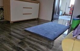 casa, teren, anexe, la 8km de Oradea, oportunitate de investitie