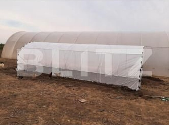 Casa de vânzare 5 camere Tarian - 160129CV | BLITZ Oradea | Poza14