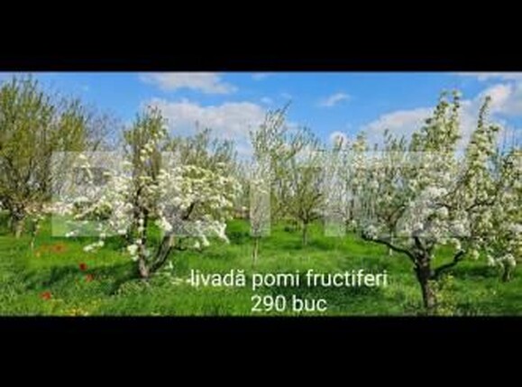 Casa de vânzare 5 camere Tarian - 160129CV | BLITZ Oradea | Poza2