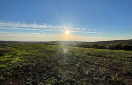 Teren Intravilan - Oradea
