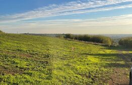 Teren Intravilan - Oradea