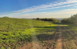 Teren Intravilan - Oradea