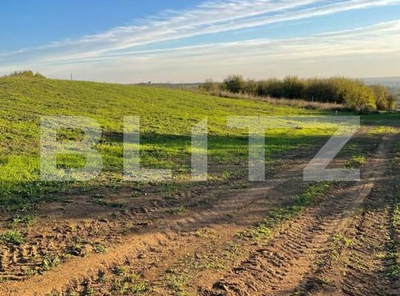 Teren de vânzare Garii - 160226TV | BLITZ Oradea | Poza7