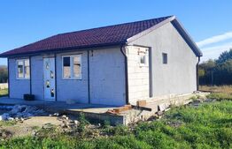 Casa moderna pe structura metalica 