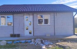 Casa moderna pe structura metalica 