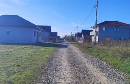 Casa moderna pe structura metalica 