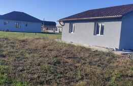 Casa moderna pe structura metalica 