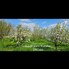 Teren de vânzare Tarian - 160301TV - Poza 1 din 15 | BLITZ Oradea | Poza1