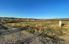 Anunț Vânzare Parcele - 630 mp fiecare Saldabagiu de Munte