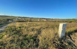 Anunț Vânzare Parcele - 630 mp fiecare Saldabagiu de Munte