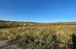 Anunț Vânzare Parcele - 630 mp fiecare Saldabagiu de Munte