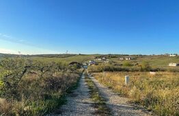 Teren de vânzare Nufarul - 183465TV | BLITZ Oradea | Poza3