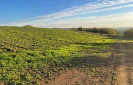 Teren Intravilan - Oradea