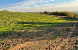 Teren Intravilan - Oradea